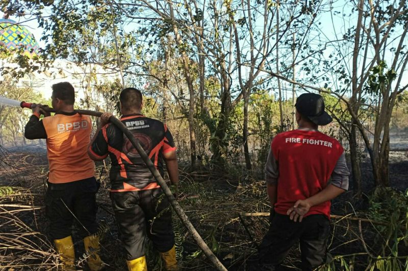 317 titik panas terdeteksi di Kaltim 317 titik panas terdeteksi di Kaltim