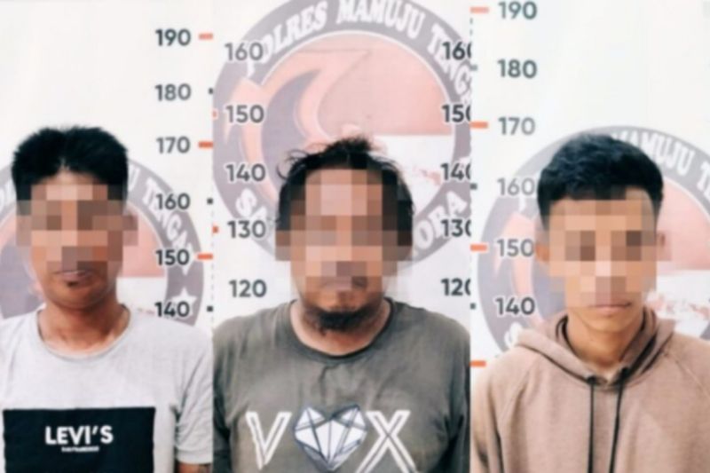Tiga pelaku narkoba di Mamuju diringkus polisi Tiga pelaku narkoba di Mamuju diringkus polisi