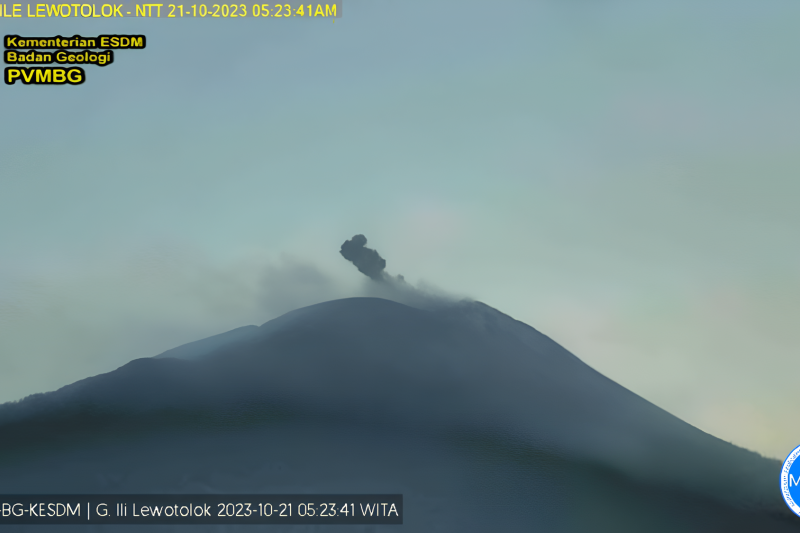 Gunung Ili Lewotolok NTT lontarkan abu vulkanik ke arah barat laut Gunung Ili Lewotolok NTT lontarkan abu vulkanik ke arah barat laut