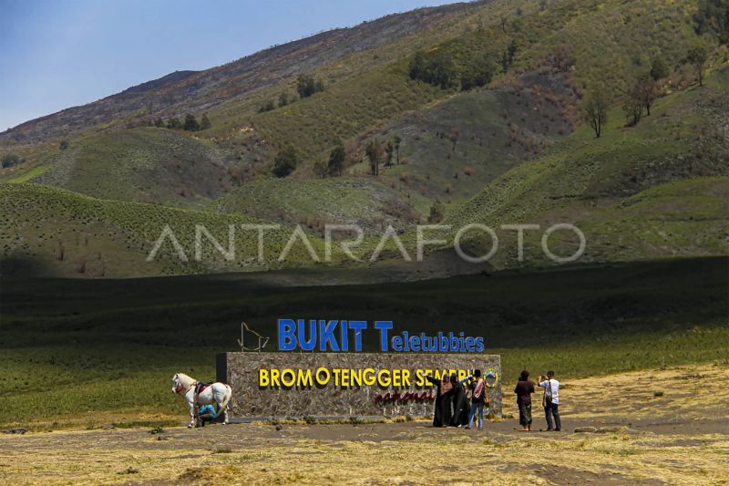 Kunjungan wisatawan ke Bromo belum pulih usai kebakaran