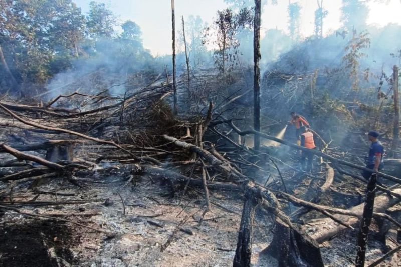 Titik panas di Kalimantan Timur turun dari 97 menjadi 74 Titik panas di Kalimantan Timur turun dari 97 menjadi 74