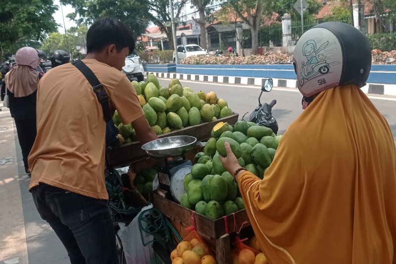 Pedagang buah musiman di Lebak raup keuntungan