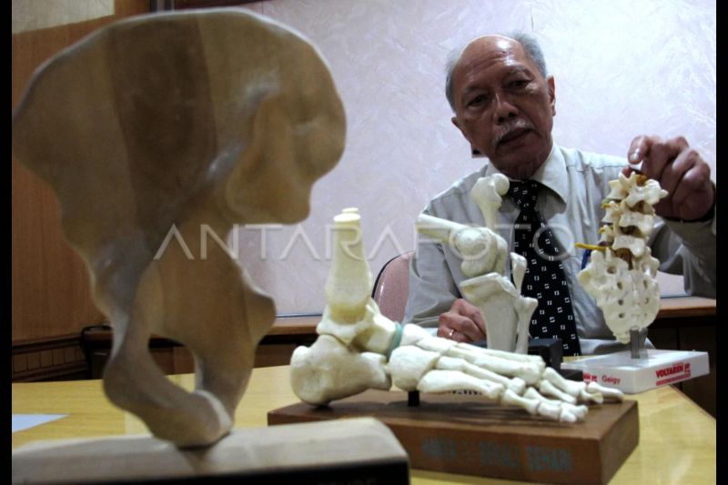 BRIN sebut anak usia 8-14 tahun bisa terkena osteoporosis BRIN sebut anak usia 8-14 tahun bisa terkena osteoporosis