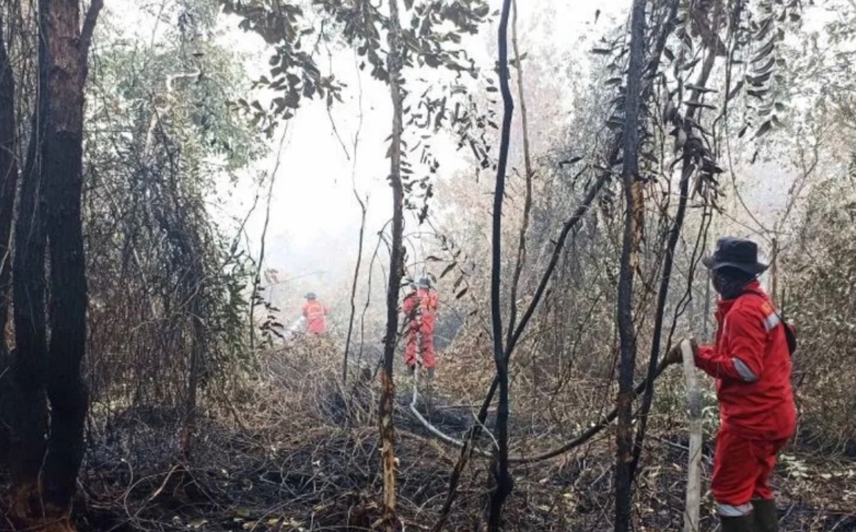 Satgas gabungan berjibaku padamkan karhutla di kawasan Gubernur Sarkawi Kalsel