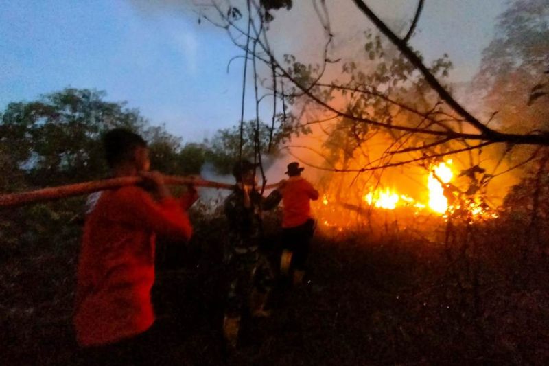 307 titik panas terdeteksi di Kaltim 307 titik panas terdeteksi di Kaltim
