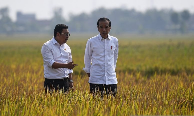 Plt Mentan siapkan program Quick Win sambut masa tanam padi