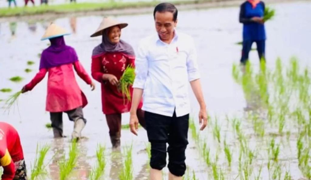 Tantangan dan solusi Hari Pangan Sedunia 2023 Tantangan dan solusi Hari Pangan Sedunia 2023