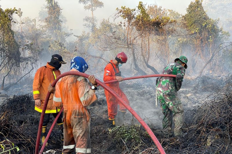 BPBD sebut karhutla di Babel bertambah jadi 1.622,01 hektare BPBD sebut karhutla di Babel bertambah jadi 1.622,01 hektare