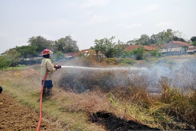 Petugas DPKP padamkan kebakaran lahan yang diduga ulah ODGJ Petugas DPKP padamkan kebakaran lahan yang diduga ulah ODGJ