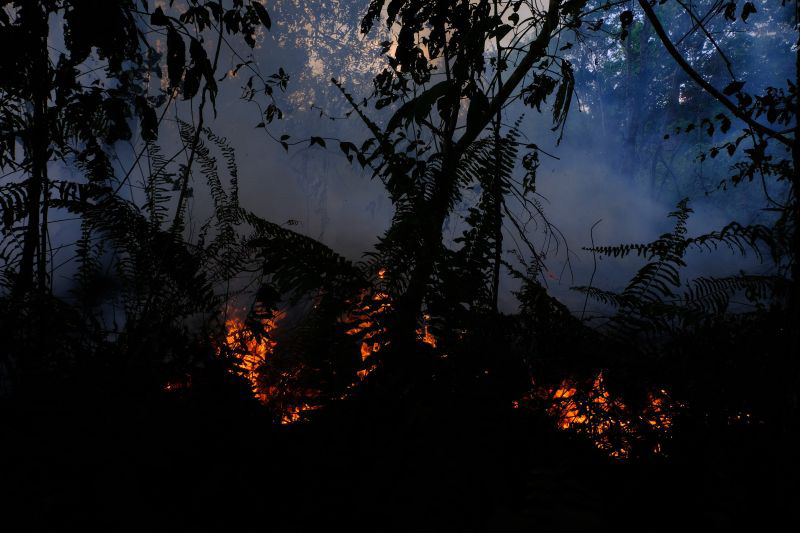 Walhi nilai Malaysia juga harus bertanggungjawab atas karhutla di Indonesia Walhi nilai Malaysia juga harus bertanggungjawab atas karhutla di Indonesia