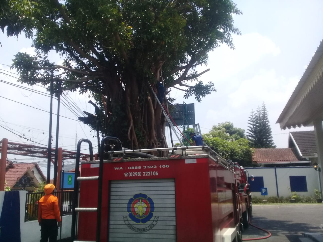 Pohon karet di tengah Kota Salatiga terbakar