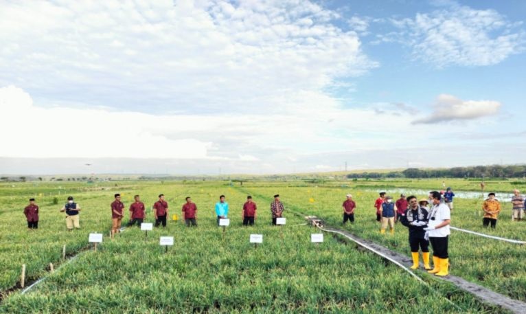 DPP Kulon Progo laksanakan pertanian hemat air atasi dampak El Nino DPP Kulon Progo laksanakan pertanian hemat air atasi dampak El Nino
