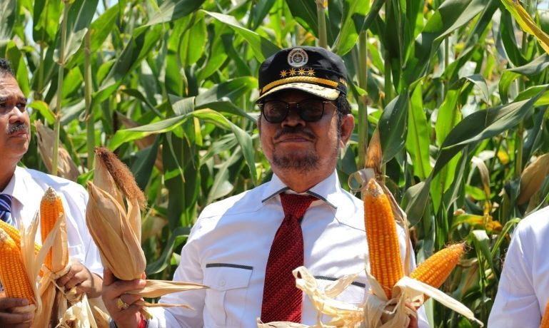 Mentan luncurkan jagung varietas unggul hasil kolaborasi dengan Unhas Mentan luncurkan jagung varietas unggul hasil kolaborasi dengan Unhas