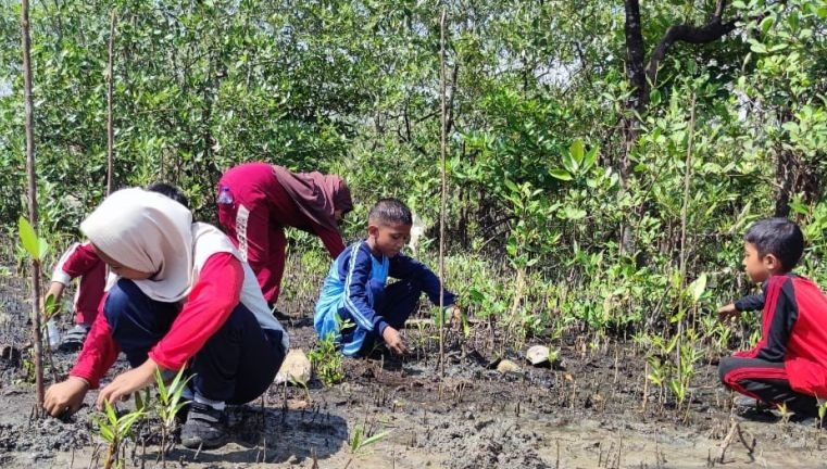 PT Timah tanam 1.000 mangrove di Pantai Batu Tuan