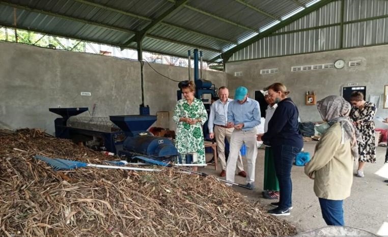 Pertamina manfaatkan PLTS olah sampah di Kedonganan Bali Pertamina manfaatkan PLTS olah sampah di Kedonganan Bali