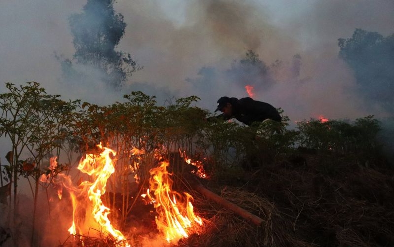 BPBD Tapin berupaya padamkan karhutla cabai hiyung siap panen