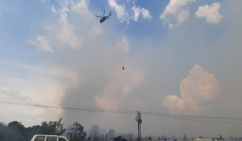 Petugas berjibaku padamkan karhutla dekat Bandara Syamsudin Noor