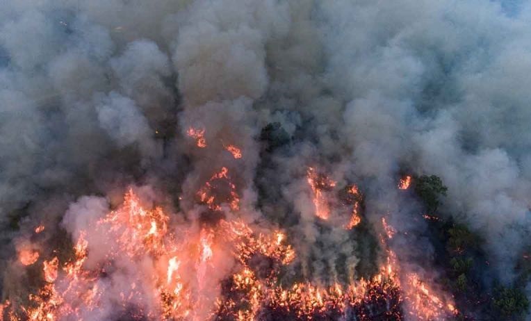Gempuran bom air jinakkan karhutla di Ogan Komering Ilir Gempuran bom air jinakkan karhutla di Ogan Komering Ilir