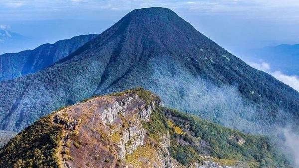 Kebakaran savana Suryakencana TNGGP berhasil dipadamkan Kebakaran savana Suryakencana TNGGP berhasil dipadamkan