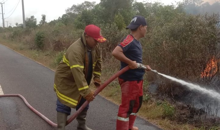 BPBD Belitung berhasil padamkan kebakaran lahan seluas tiga hektare BPBD Belitung berhasil padamkan kebakaran lahan seluas tiga hektare