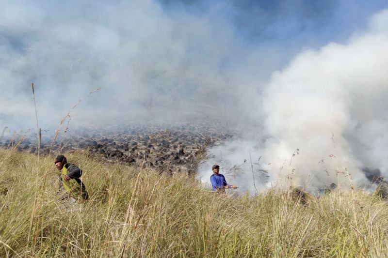 Kebakaran lahan di Bukit Teletubbies diduga dipicu ulah pengunjung Kebakaran lahan di Bukit Teletubbies diduga dipicu ulah pengunjung