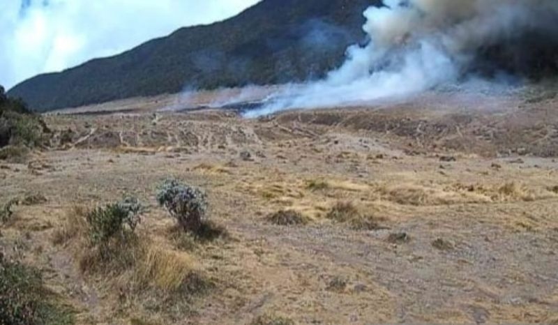 TNGGP perketat aturan pendakian hindari kebakaran lahan