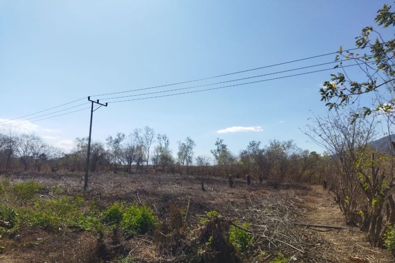 Sembilan kecamatan di Manggarai Barat diprakirakan rendah curah hujan