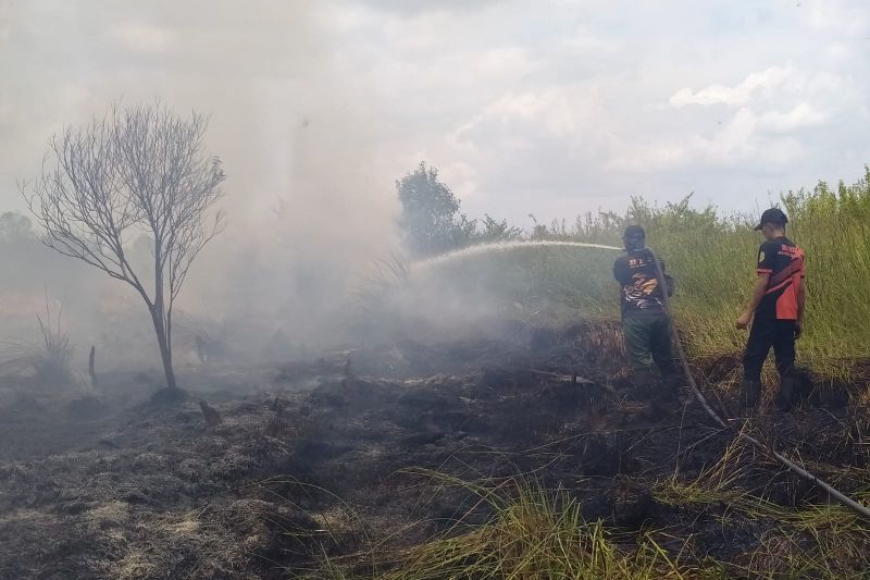 BMKG ingatkan warga Kalteng waspadai potensi Karhutla BMKG ingatkan warga Kalteng waspadai potensi Karhutla