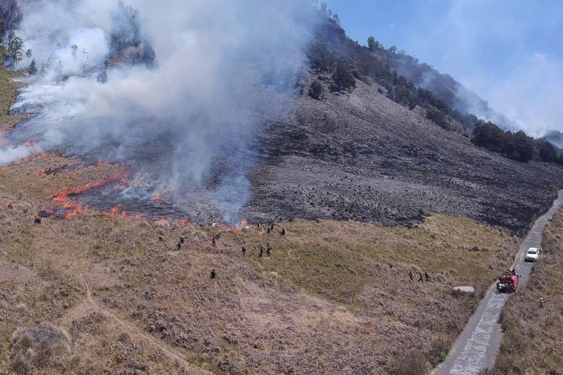 BB TNBTS pastikan tidak ada aktivitas wisata di dalam kawasan Bromo BB TNBTS pastikan tidak ada aktivitas wisata di dalam kawasan Bromo