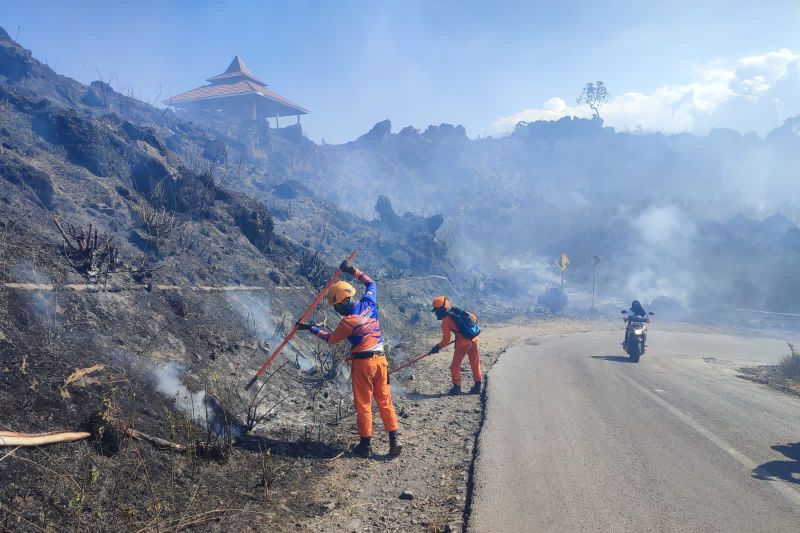 BPBD Bondowoso catat Karhutla capai 20 hektare di lereng Gunung Ijen BPBD Bondowoso catat Karhutla capai 20 hektare di lereng Gunung Ijen