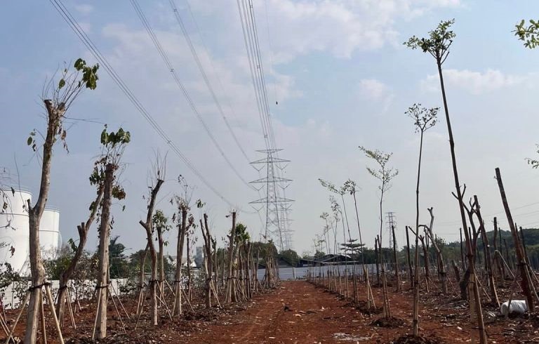 JIEP tertibkan bangunan liar di hutan kota