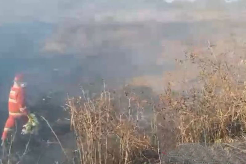 Damkar Cianjur tuntaskan penanganan 37 titik kebakaran lahan