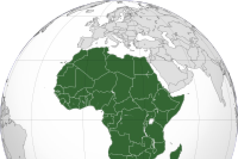 Uni Afrika tangguhkan keanggotaan Gabon Uni Afrika tangguhkan keanggotaan Gabon