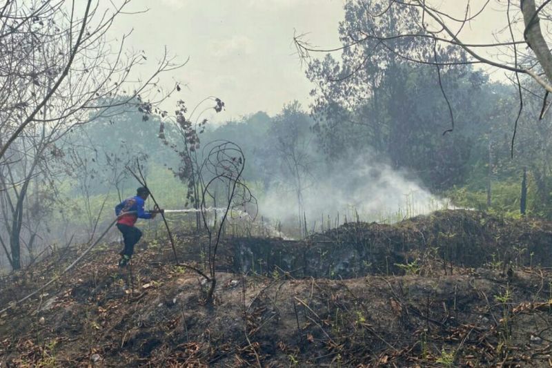 BPBD Penajam bersama para pihak padamkan tiga titik karhutla