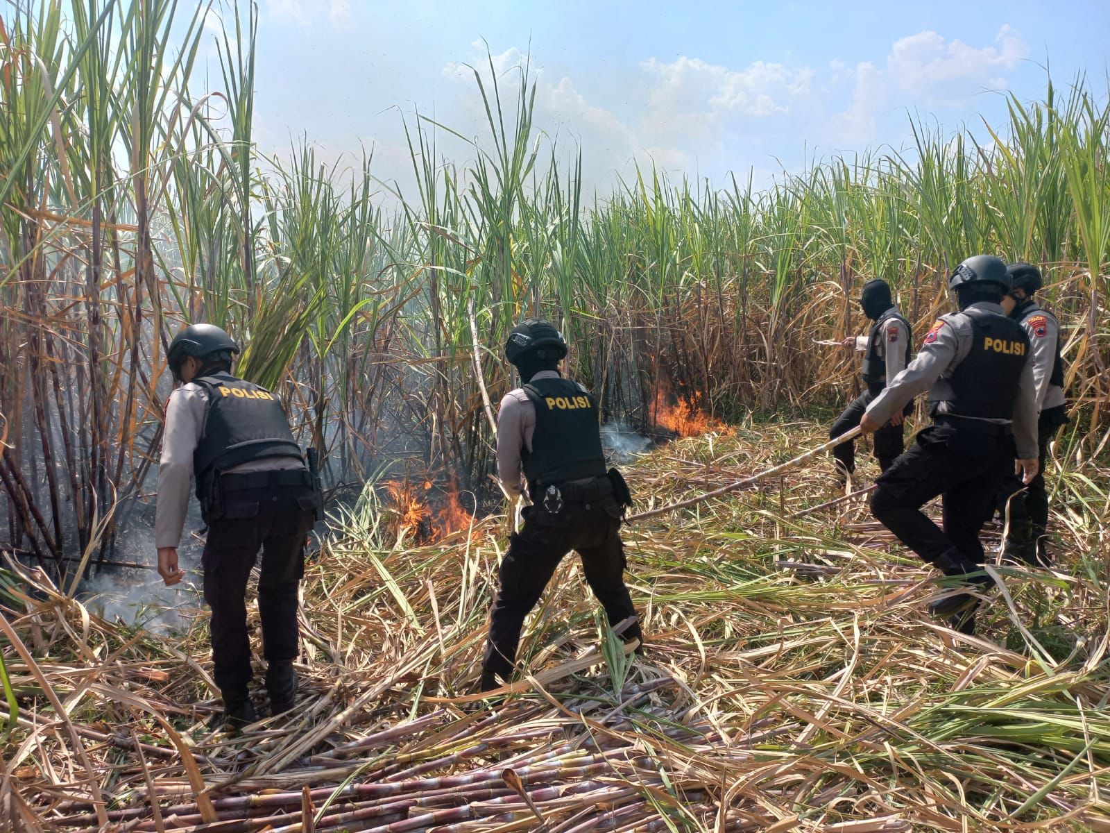 Puntung rokok dibuang sembarangan, lahan tebu satu hektar di Samirejo, Kudus ludes terbakar Puntung rokok dibuang sembarangan, lahan tebu satu hektar di Samirejo, Kudus ludes terbakar
