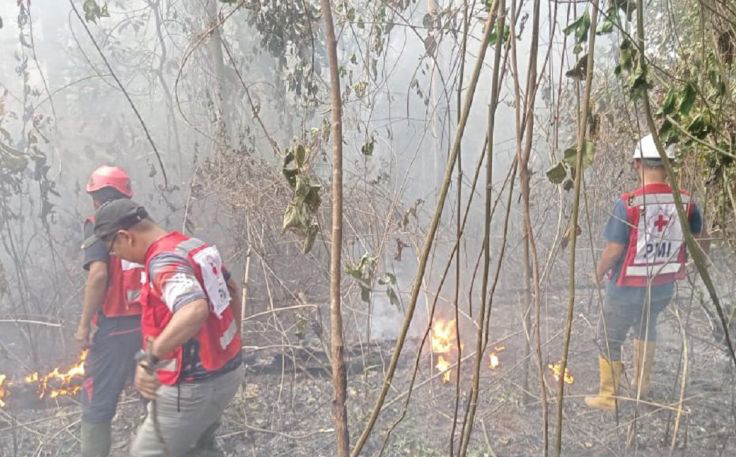 PMI Sukabumi kerahkan personel bantu padamkan api Gunung Walat