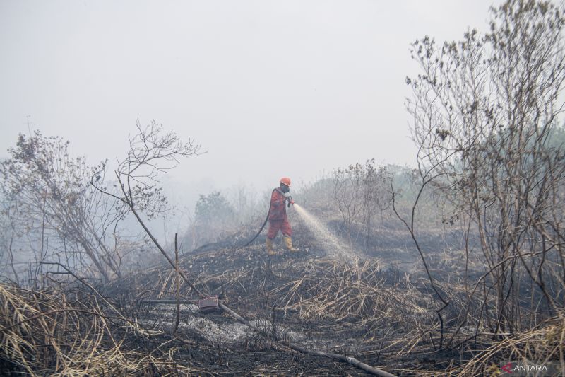 Jambi terdampak asap kebakaran hutan dan lahan di Sumatera Selatan Jambi terdampak asap kebakaran hutan dan lahan di Sumatera Selatan