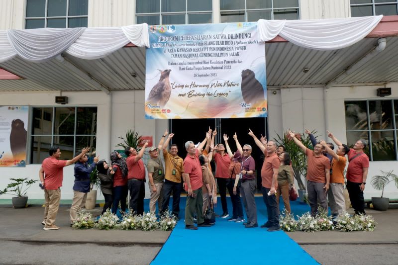 Lepas liarkan elang, PLN Indonesia Power jaga keanekaragaman hayati Lepas liarkan elang, PLN Indonesia Power jaga keanekaragaman hayati