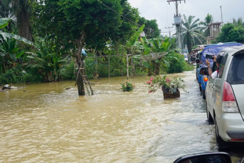 430 hektare lahan pertanian terdampak banjir di Pasaman Barat 430 hektare lahan pertanian terdampak banjir di Pasaman Barat