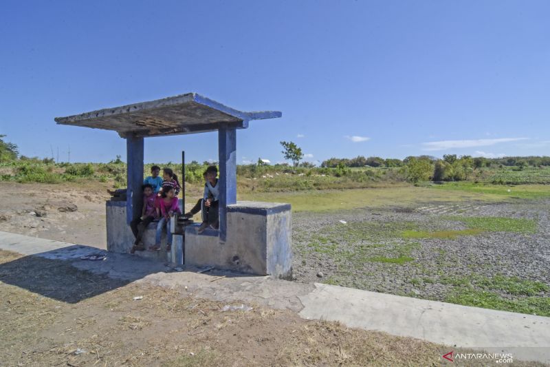 Kekeringan melanda 48 desa di Lombok Timur