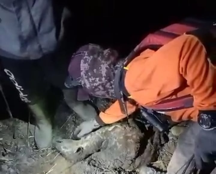 Satwa dilindungi jadi korban karhutla Gunung Arjuna dan Gunung Ringgit