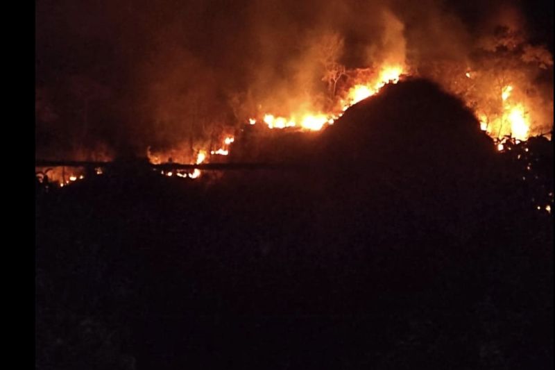 Tim gabungan berhasil padamkan kebakaran lahan di Gunung Jayanti