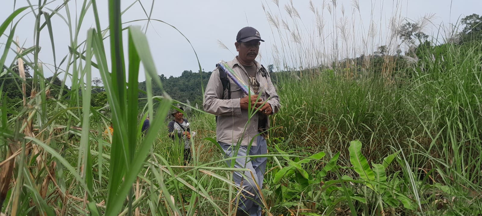 Balai Konservasi Sumberdaya Alam Aceh giring gajah liar di Aceh Utara