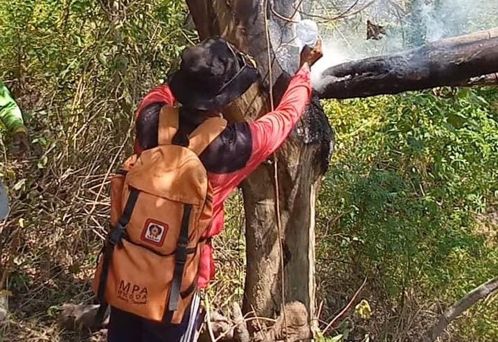 Ulah pemburu lebah, Cagar Alam Gunung Clering, Jepara terbakar