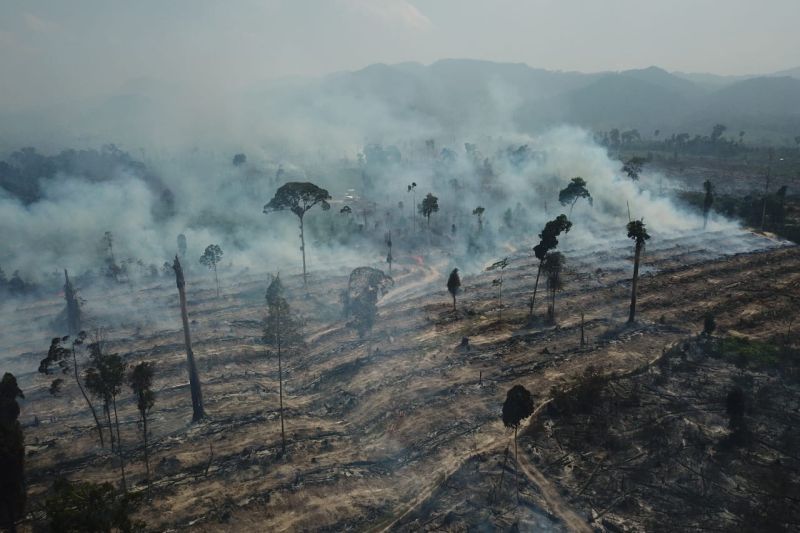 Satgas berjibaku padamkan karhutla di Kabupaten Tebo, Jambi