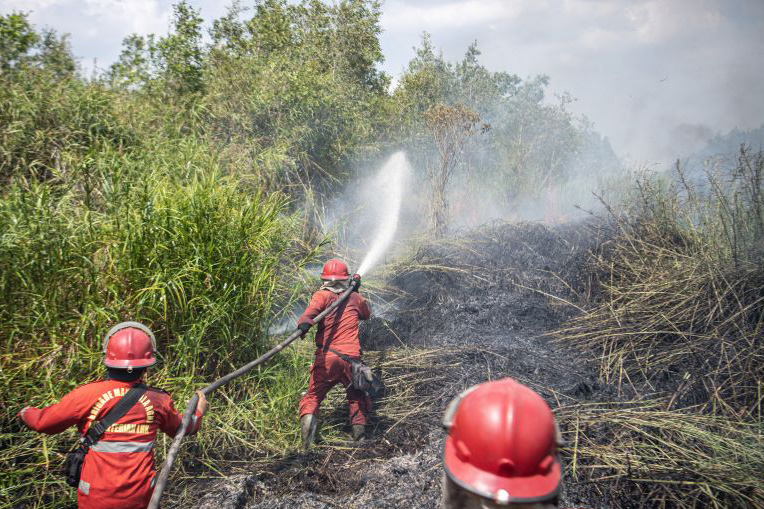 Sejumlah wilayah berpotensi alami karhutla hingga hujan lebat Sejumlah wilayah berpotensi alami karhutla hingga hujan lebat