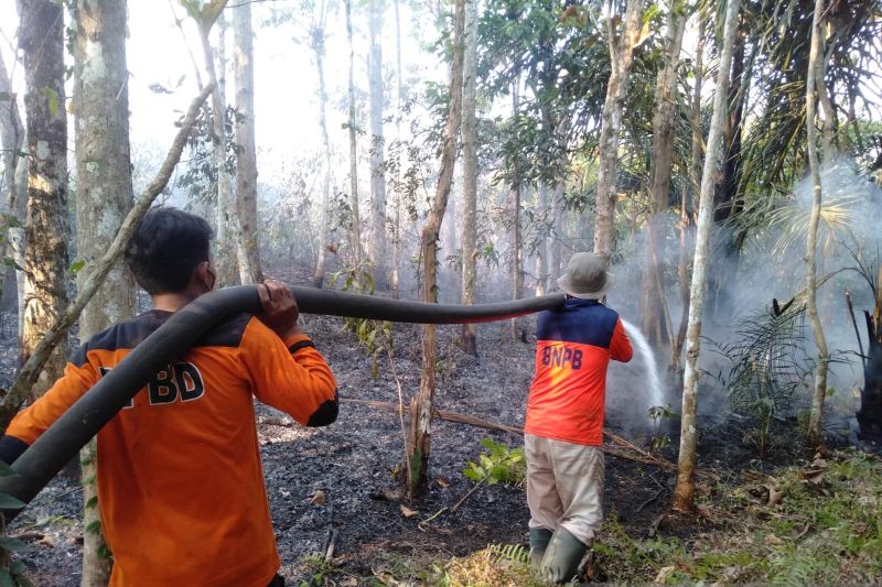 Tim Satgas padamkan karhutla di tiga desa Kabupaten OKU Sumsel Tim Satgas padamkan karhutla di tiga desa Kabupaten OKU Sumsel