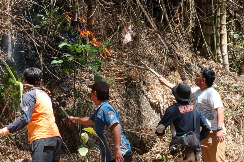 Pascakarhutla, jalur pendakian Gunung Budheg Tulungagung ditutup Pascakarhutla, jalur pendakian Gunung Budheg Tulungagung ditutup