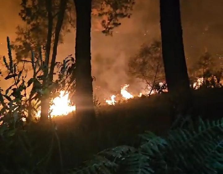 Karhutla Gunung Arjuno di wilayah Kota Batu capai 916,33 hektare