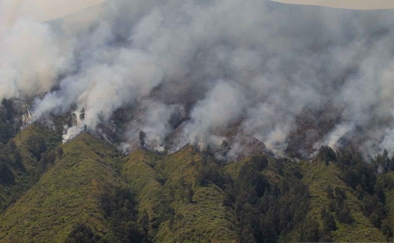 KLHK ungkap penyebab api sulit padam di Gunung Bromo KLHK ungkap penyebab api sulit padam di Gunung Bromo